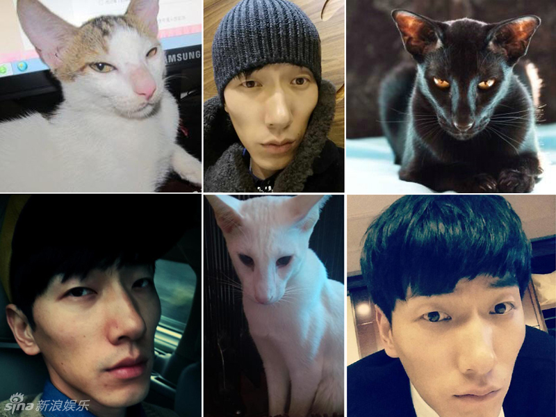 不小心就撞臉了！盤點動物界的明星相