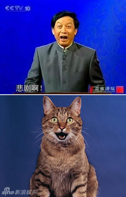 不小心就撞臉了！盤點動物界的明星相