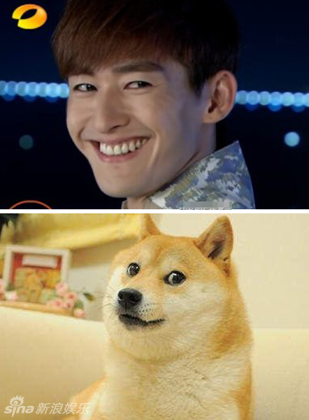 不小心就撞臉了！盤點動物界的明星相