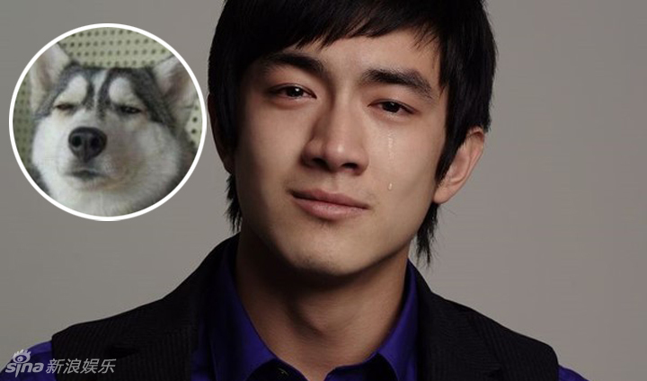 不小心就撞臉了！盤點動物界的明星相