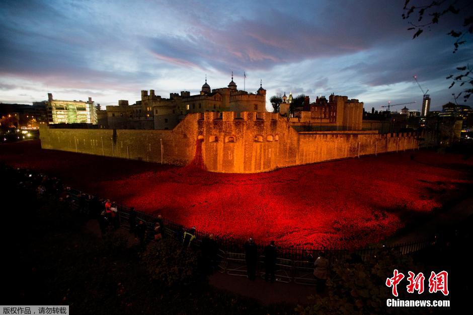 當(dāng)?shù)貢r間2014年11月10日，英國倫敦，倫敦塔周邊“種植”了888246朵陶瓷材質(zhì)的罌粟花，以此紀(jì)