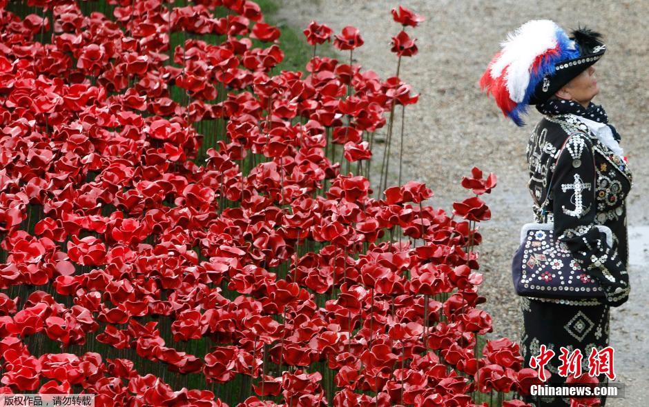 當(dāng)?shù)貢r間2014年11月10日，英國倫敦，倫敦塔周邊“種植”了888246朵陶瓷材質(zhì)的罌粟花，以此紀(jì)