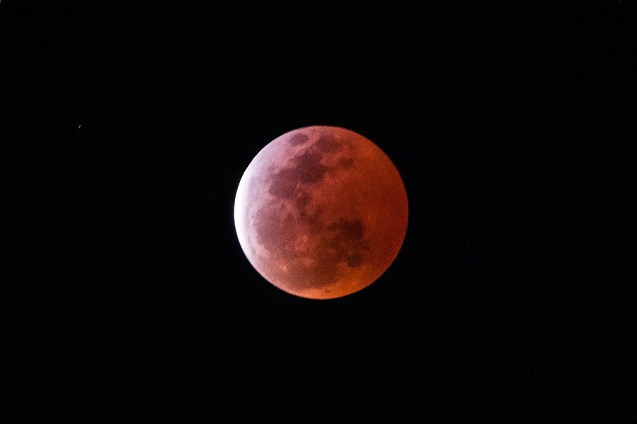 4月4日，福州上空出現(xiàn)紅月亮。楊婀娜/CFP