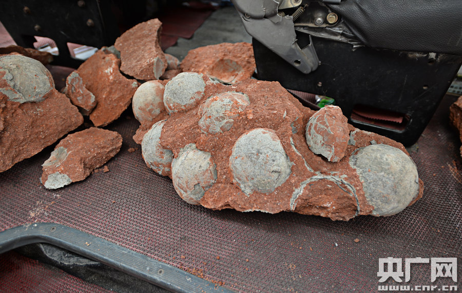 其中完整的19枚，都是直徑約13厘米的“大個子”。