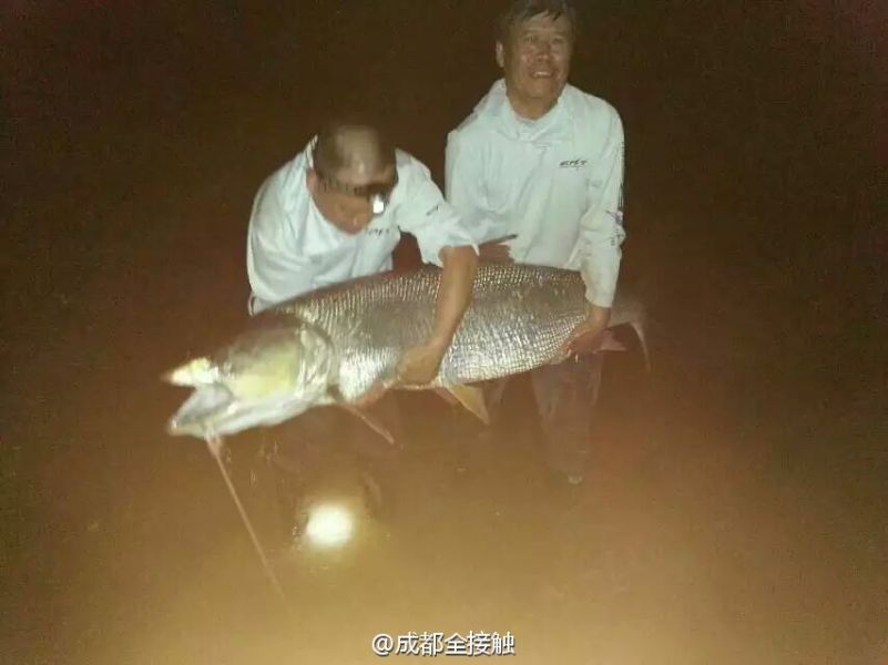 圖為大魚需要兩個人抱起。