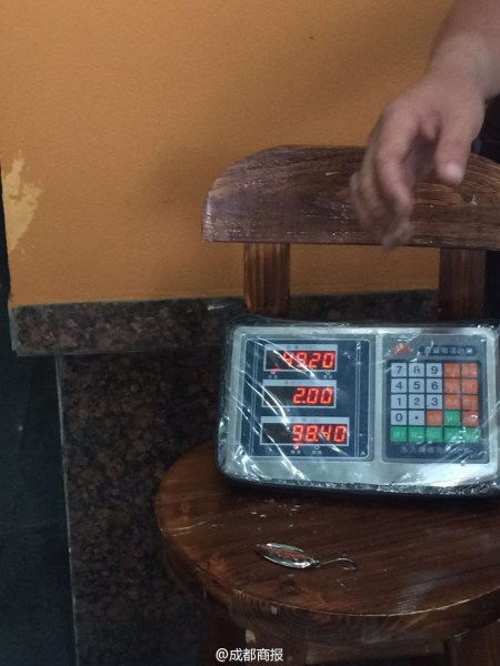 父子倆為大魚量體重。