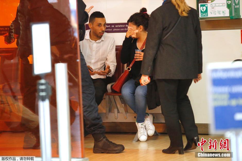 載66人埃航失聯(lián)客機墜毀 同線航班當晚照常起飛