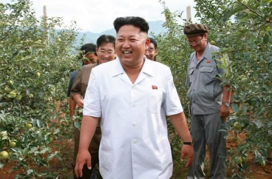 金正恩視察果木農場贊其世外桃源讓人詩興大發(fā)