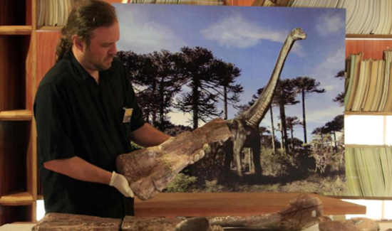 委內(nèi)瑞拉發(fā)現(xiàn)罕見(jiàn)恐龍化石 骨關(guān)節(jié)排列結(jié)構(gòu)特殊 委內(nèi)瑞拉發(fā)現(xiàn)罕見(jiàn)恐龍化石 骨關(guān)節(jié)排列結(jié)構(gòu)特殊