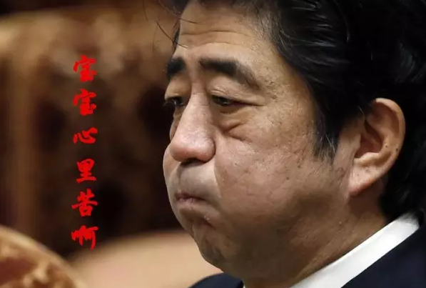 這種看安倍“熱鬧”的事兒，環(huán)環(huán)絕不私藏，一定雨露均沾!