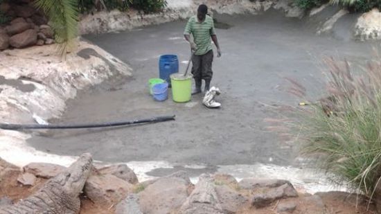 穆克的養(yǎng)殖場，鱷視眈眈下的工作人員。