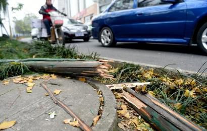 事發(fā)現(xiàn)場，嫌疑車輛撞壞的木樁。