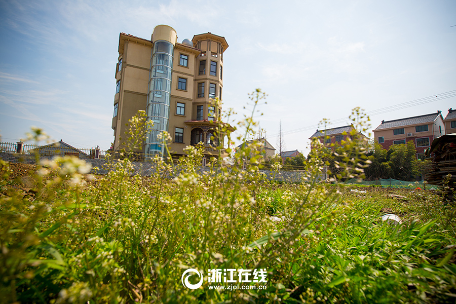 浙江土豪建史上最壕農居房 浙江土豪建史上最壕農居房