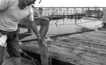 鼻孔里凝著血痂、全身多處擦傷的周先生仍有些驚魂未定。