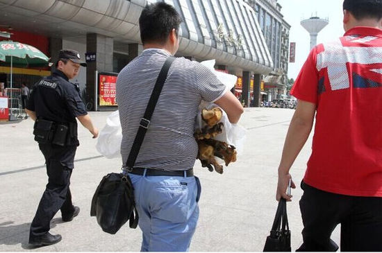 男子帶著虎皮虎骨過安檢 專家:或是狗皮染色