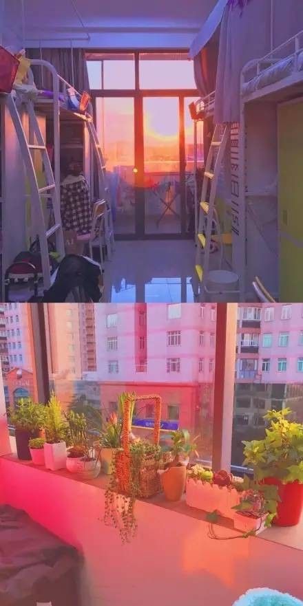 這個(gè)學(xué)校的男生宿舍火了！女同學(xué)都喊著要嫁