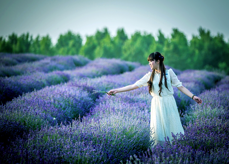 端午去哪兒?嵖岈山與您有個(gè)約會