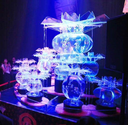 金魚(yú)在燈光下的水缸中翩翩游弋吸引游人參觀 金魚(yú)在燈光下的水缸中翩翩游弋吸引游人參觀