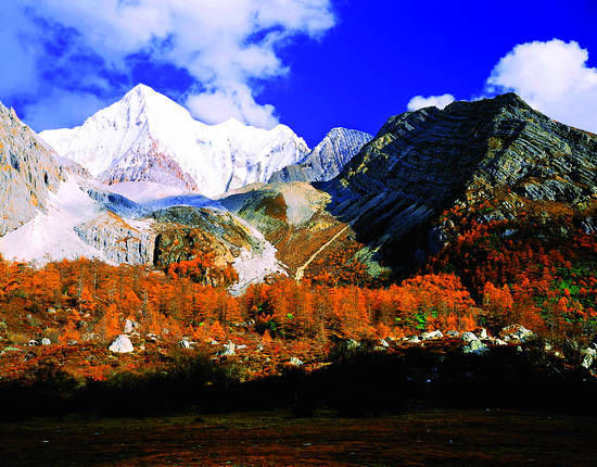 秋天的色彩之旅 尋找視覺(jué)上的饕餮盛宴
