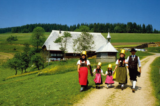 秋天的色彩之旅 尋找視覺(jué)上的饕餮盛宴