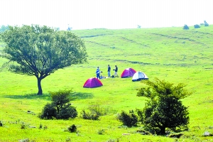 洛陽黛眉山景區(qū)開園迎賓，明年五一前免費(fèi)開放