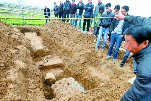 碑帽、赑屃、碑座、碑身依次排開