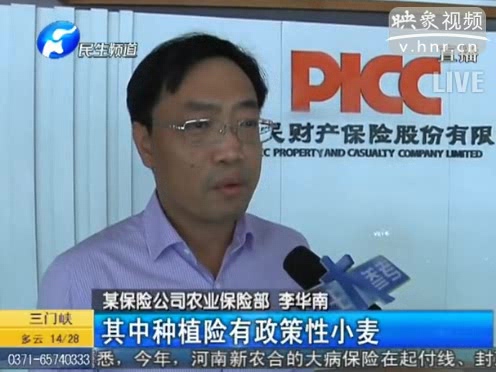 冰雹惹禍 損失能索賠嗎？