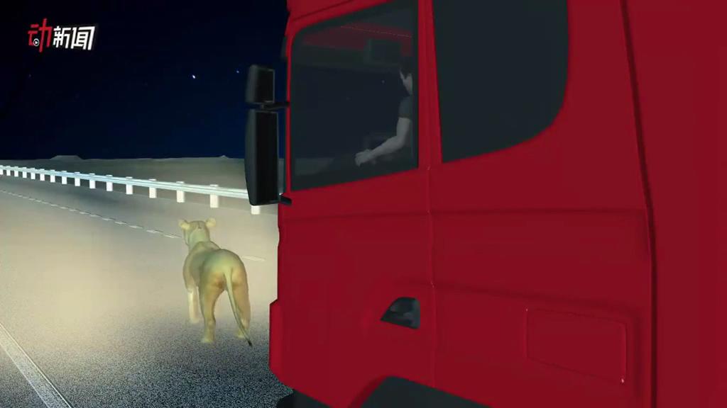 3D還原猛獅逼近高速服務(wù)區(qū) 特警20多槍擊斃