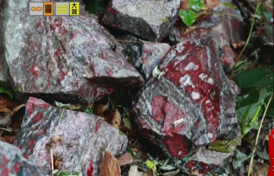 驚！神農(nóng)架無人區(qū)現(xiàn)神秘玉石