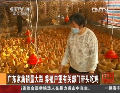 廣東家禽銷(xiāo)量大跌 養(yǎng)殖戶(hù)望有關(guān)部門(mén)帶頭吃雞