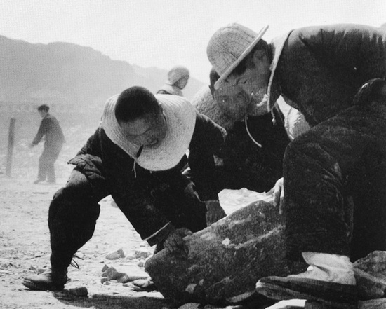 抬石頭，多少人手上都磨出了老繭