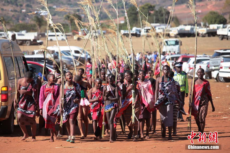 斯威士蘭蘆葦節(jié)開選秀女 十萬(wàn)“甄嬛”苦盼國(guó)王垂青 斯威士蘭蘆葦節(jié)開選秀女 十萬(wàn)“甄嬛”苦盼國(guó)王垂青