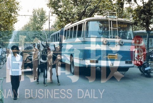 當(dāng)年的伏牛路，驢車和公交車并行